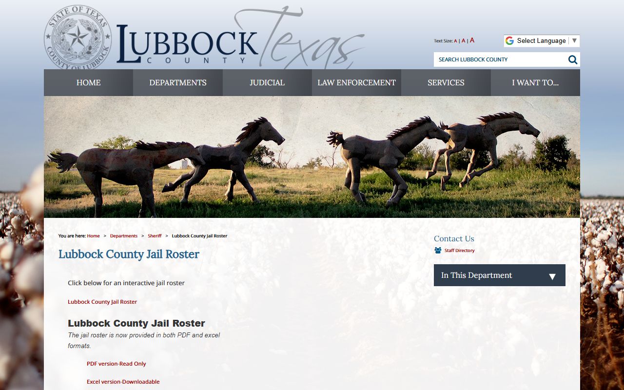 Lubbock County Detention Center jail roster page for inmate records